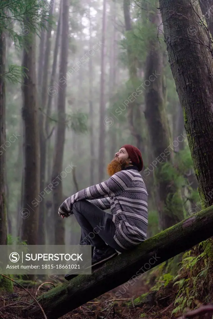Thoughtful man sitting on fallen tree in forest