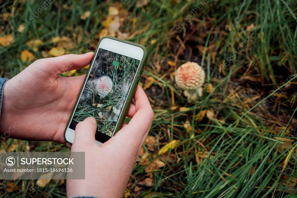 Boy photographing flower through smart phone in forest