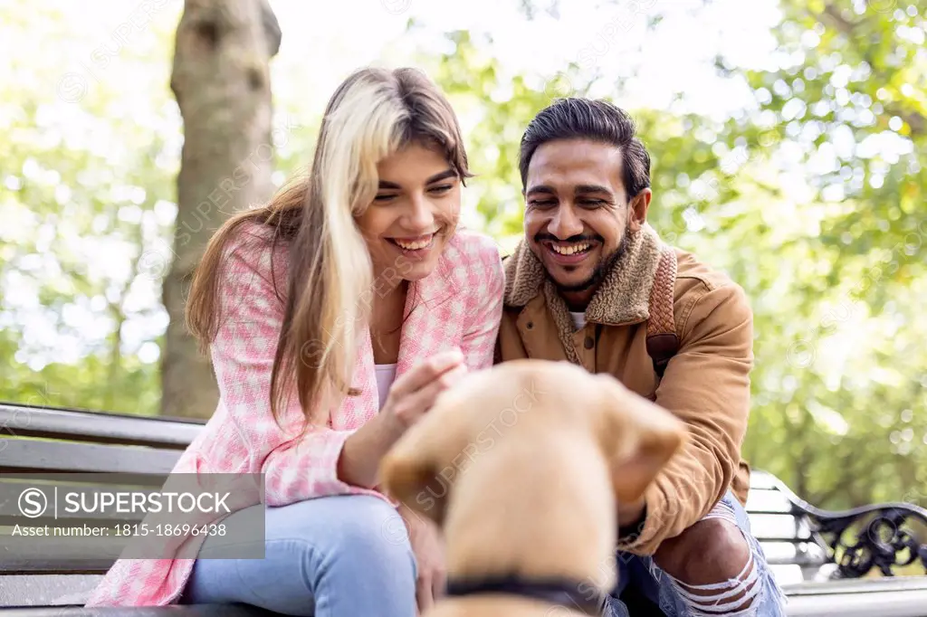Happy young couple looking at dog in public park