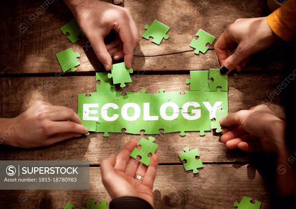 Friends joining Ecology word with jigsaw pieces on table