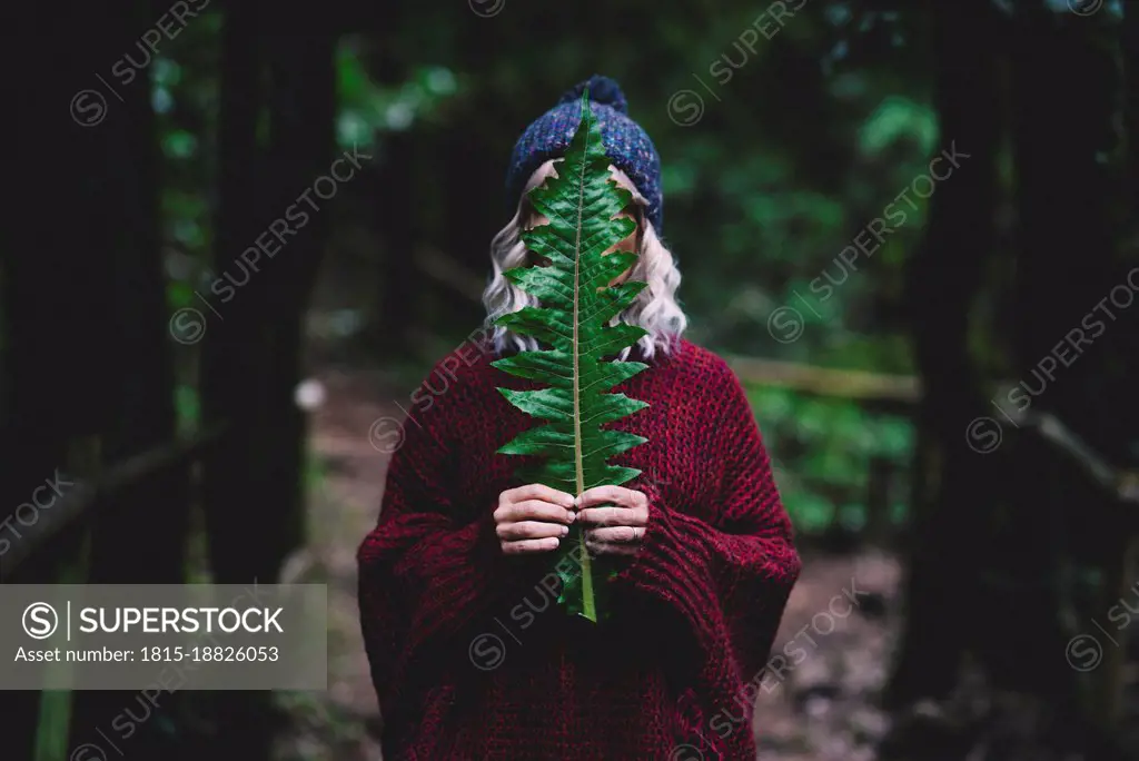 Woman hiding face with green leaf in forest