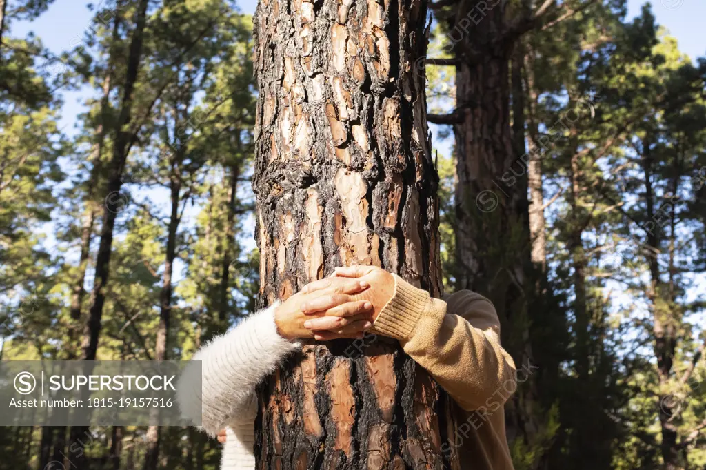 Senior couple holding hands by tree trunk in forest