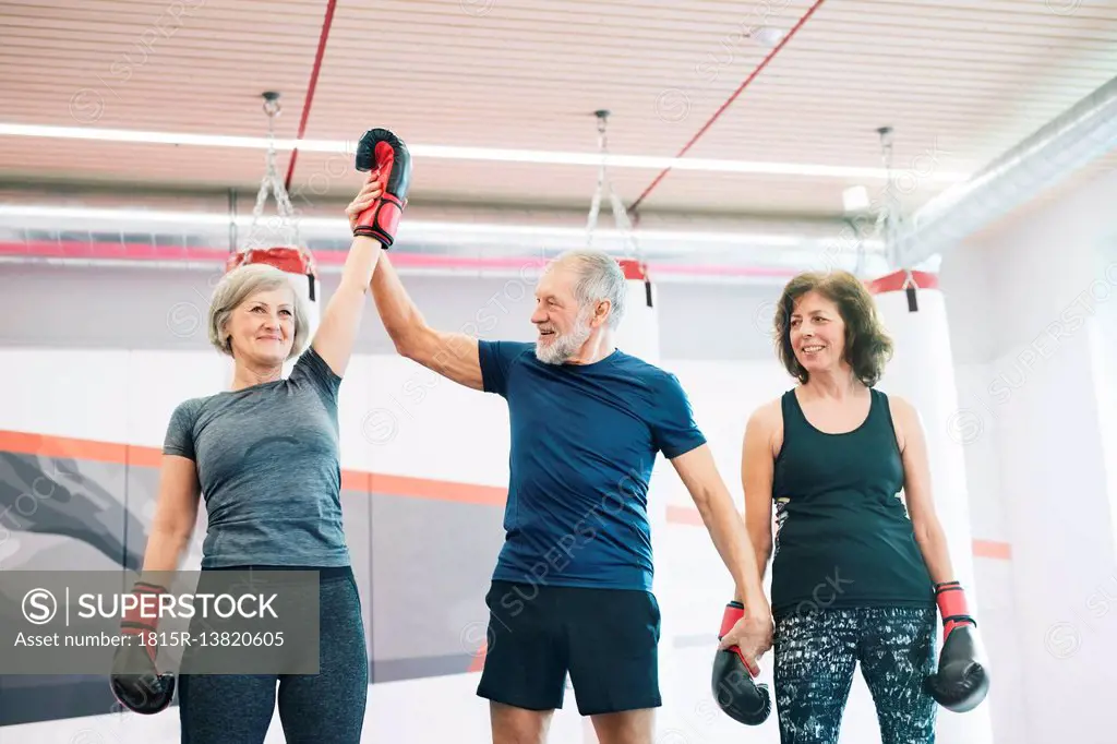 Group of happy seniors working out in gym, boxing