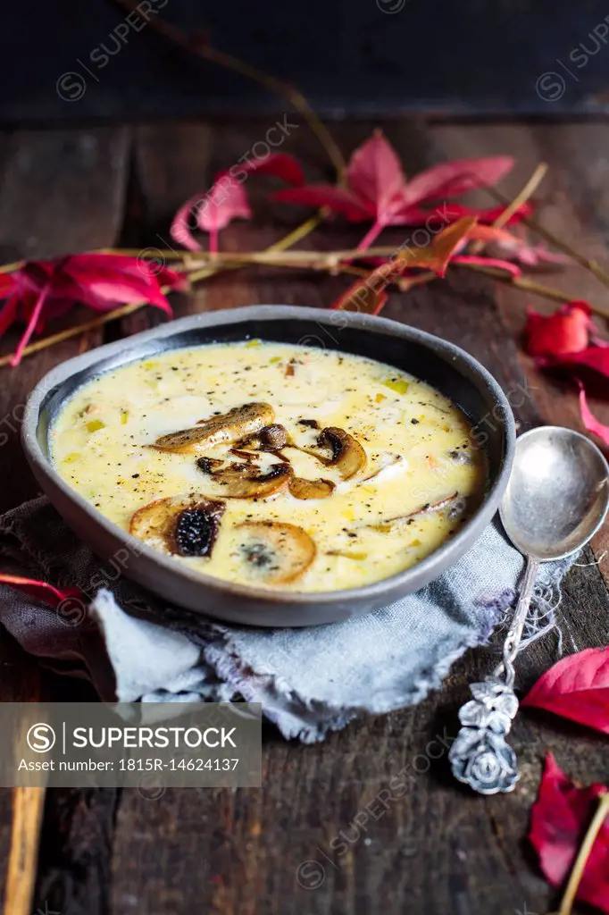 Bowl of cheese soup with leek and mushrooms