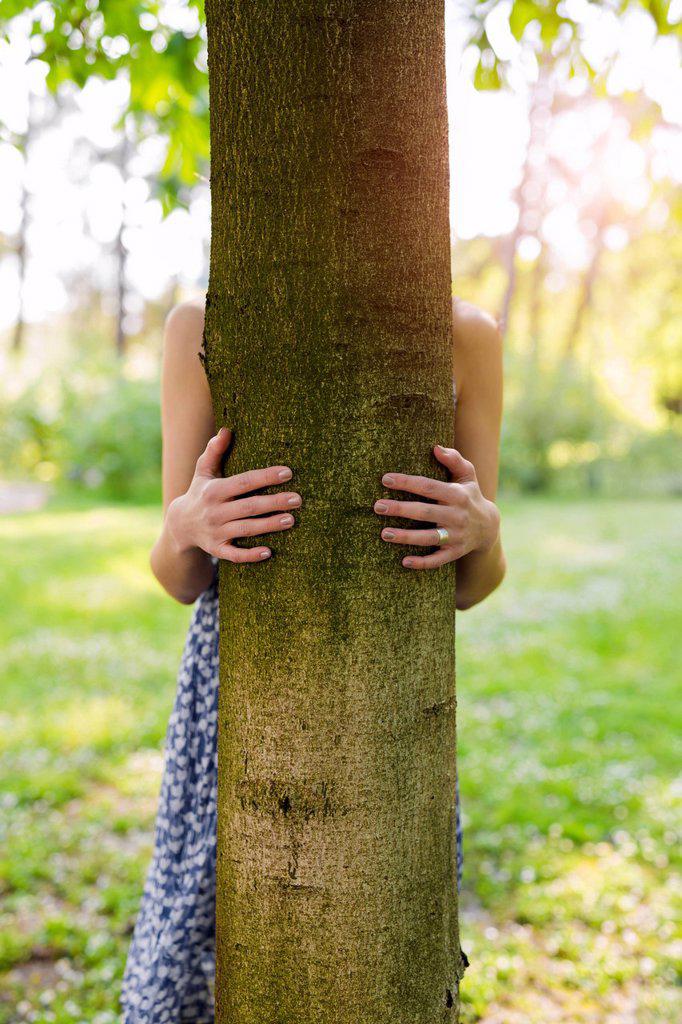 Hands of a woman hugging a tree