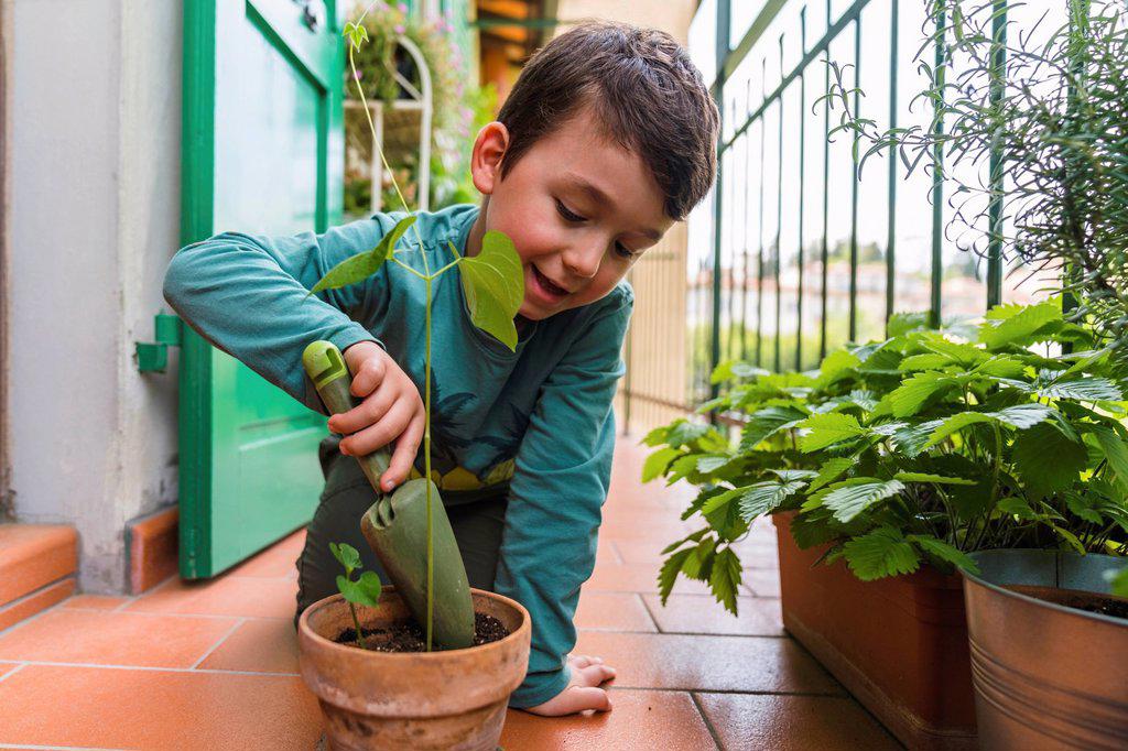 Little boy gardening on balcony
