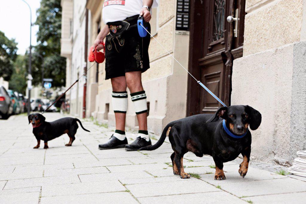 Germany, Bavaria, Munich, Senior man walking with dogs