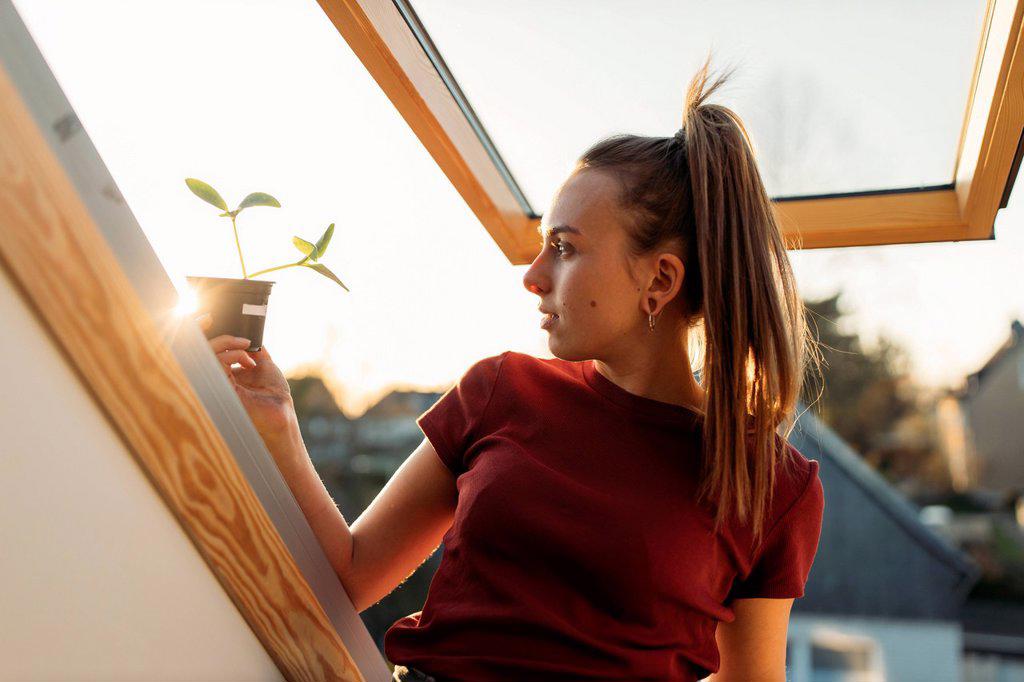 Young woman holding potted plant at the window in backlight