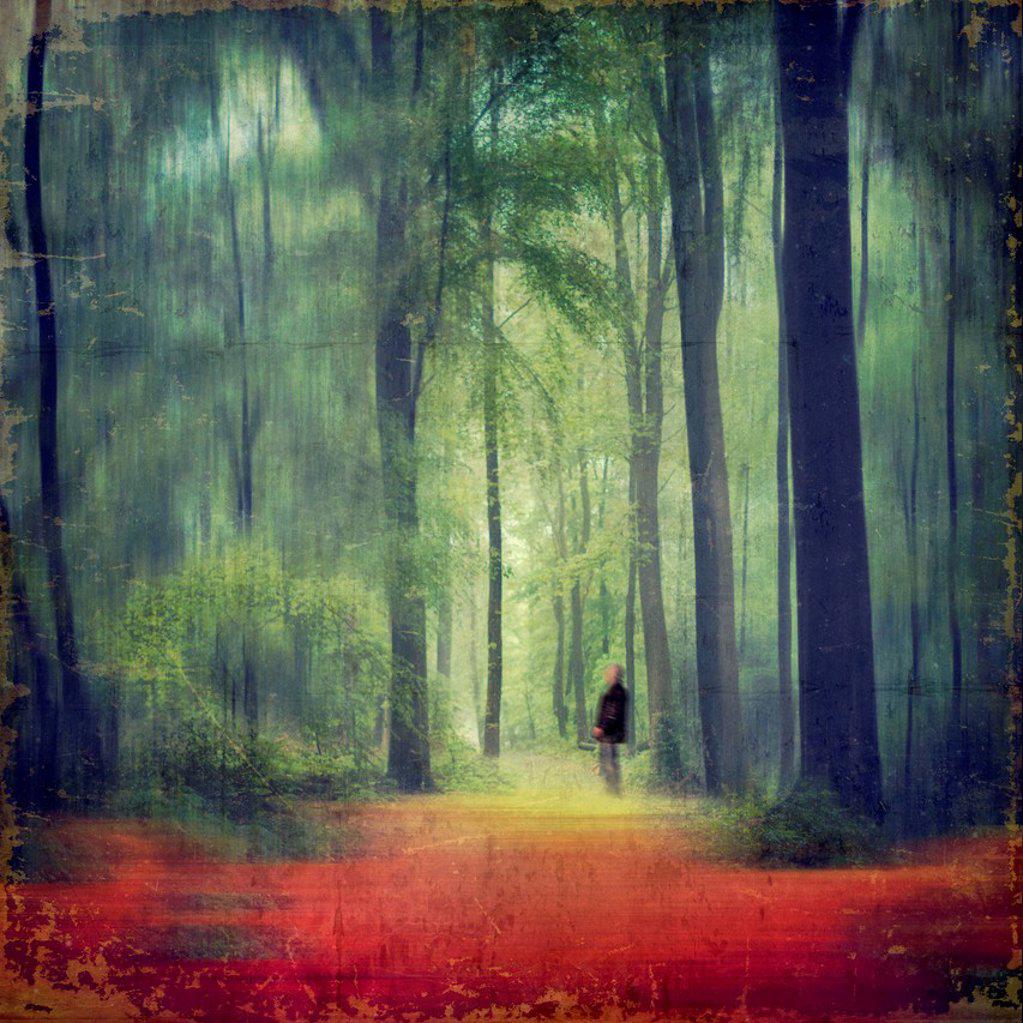 Person standing in forest, composite