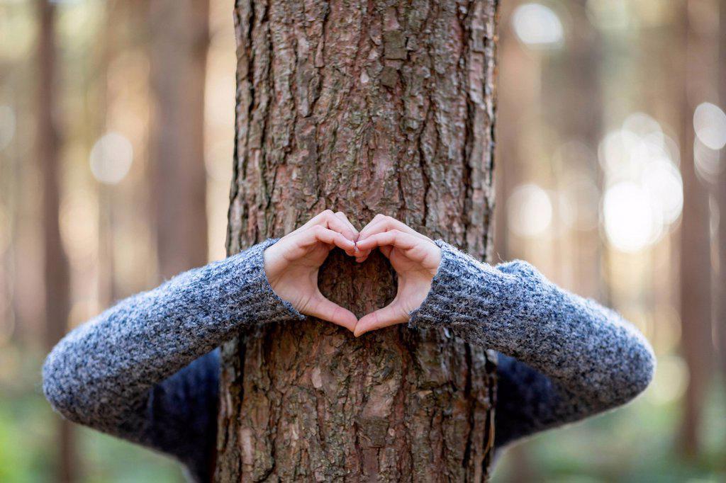 Woman embracing tree and making heart shape in Cannock Chase forest