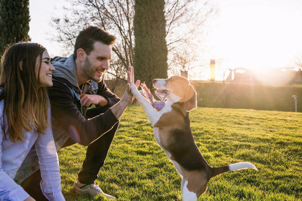 Dog giving high-five to man sitting with woman during sunset