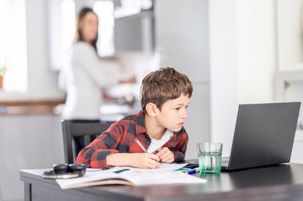 Boy concentrating whiling studying through laptop at home