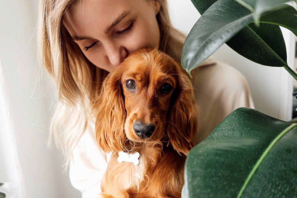 Woman kissing Cocker Spaniel dog at home