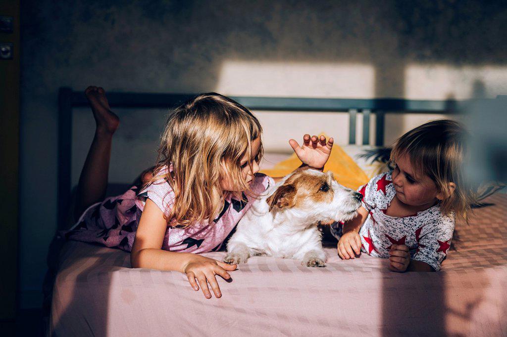 Blond girls looking at Jack Russell Terrier on bed