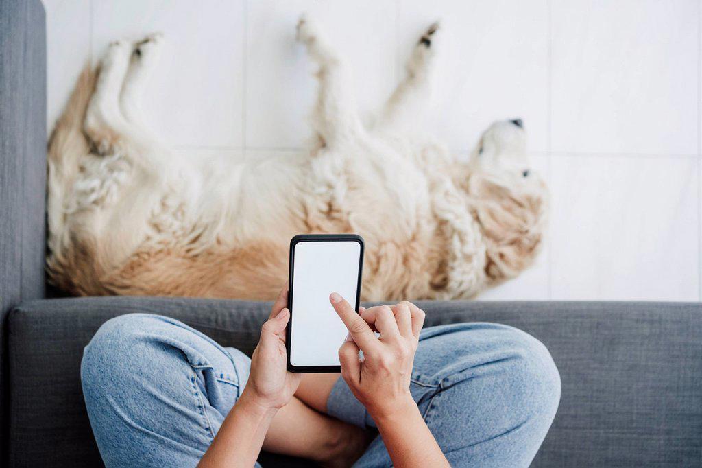 Woman using smart phone on sofa while dog relaxing at home