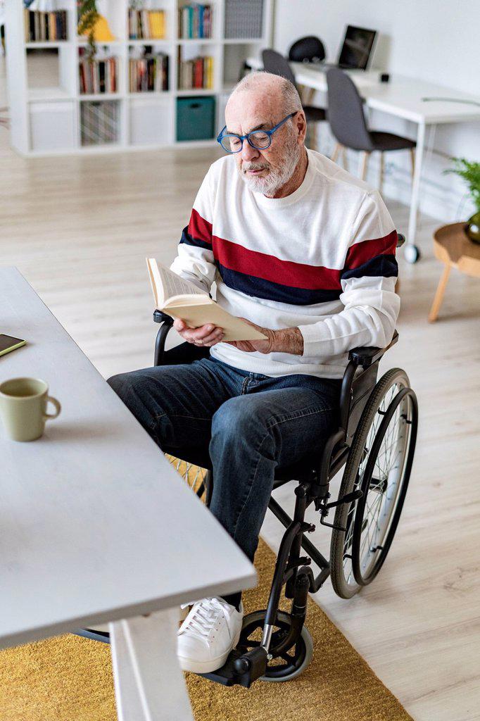 Serious senior businessman on wheelchair reading diary at home office