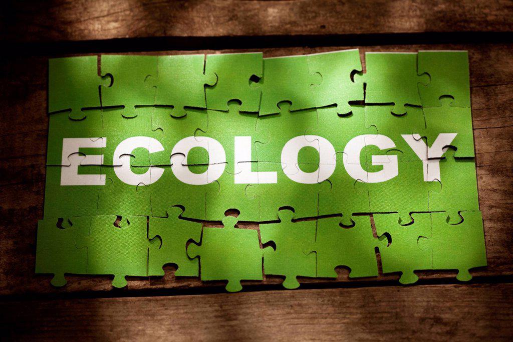 Green puzzle pieces with Ecology word on table