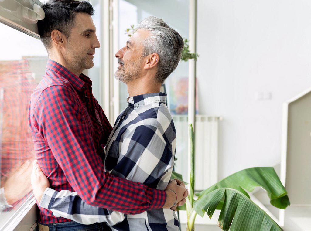 Affectionate gay couple romancing at home window