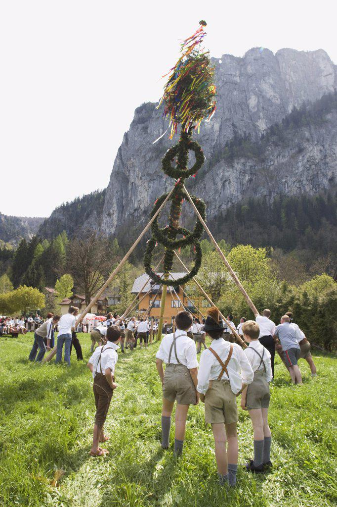 Putting up a may pole, Salzkammergut, Austria