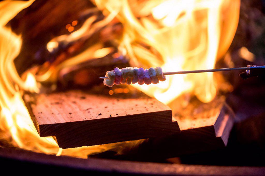 Bonfire and skewer with marshmallow