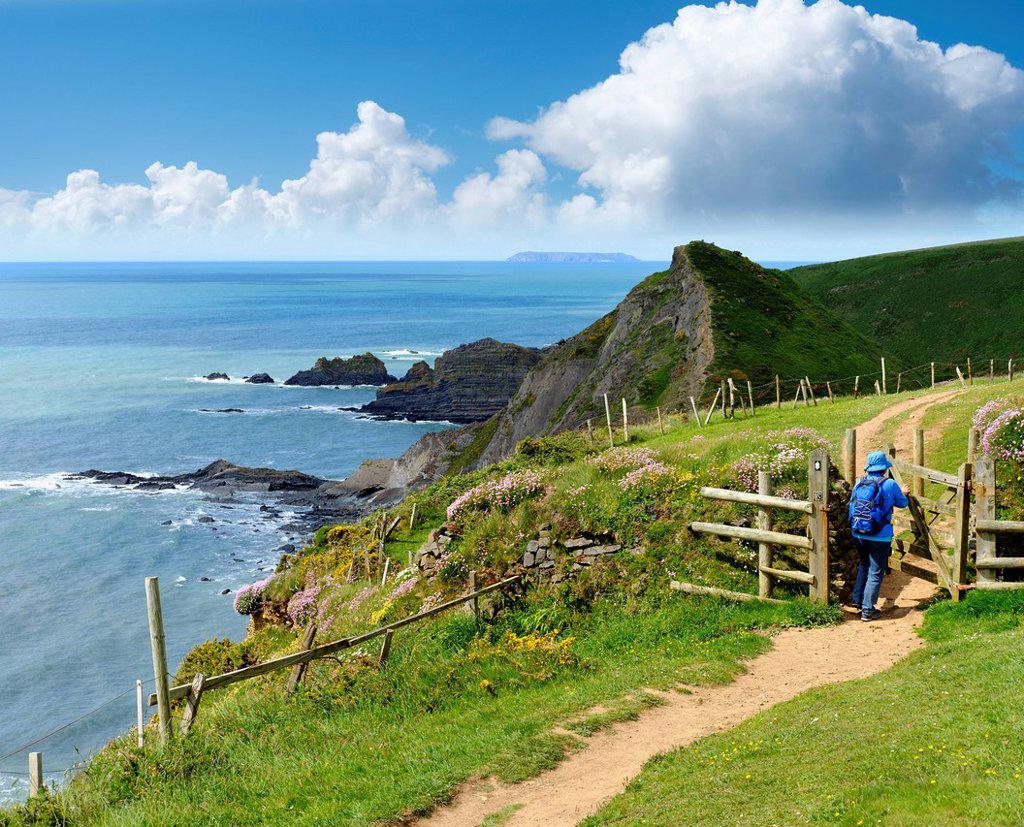 Great Britain, England, Devon, Hartland, Hartland Quay, Female hiker opening gate, coastal path