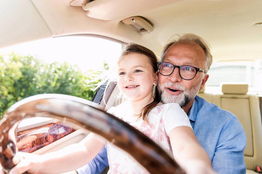 Little girl sitting on lap of grandfather, pretending to steer the car