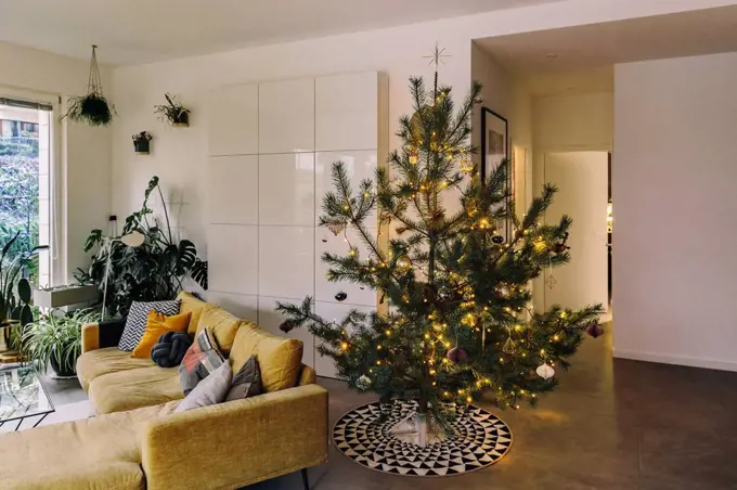 Decorated pine Christmas tree in living room