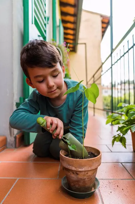 Portrait of little boy gardening on balcony