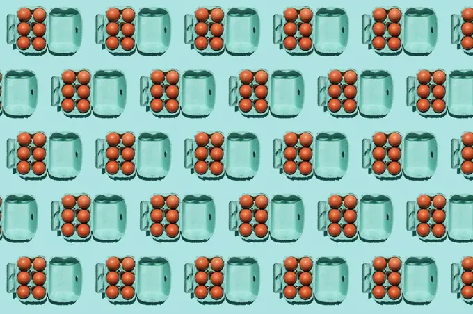 Pattern of chicken eggs in turquoise colored cartons