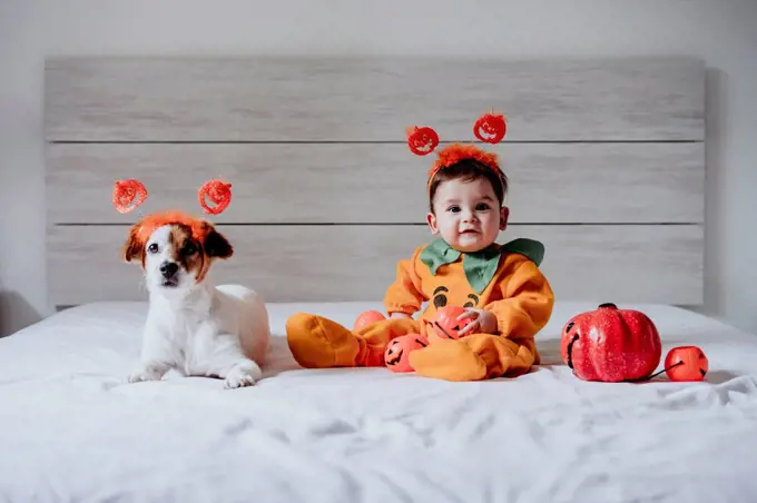 Cute baby boy and dog wearing halloween costume sitting on bed at home