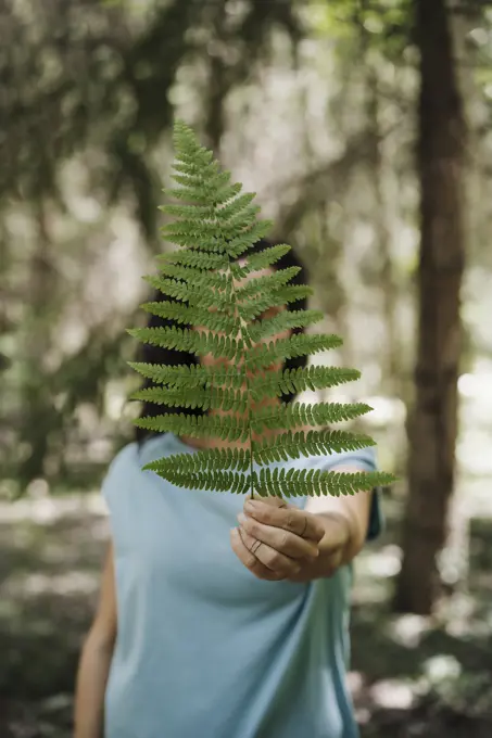 Mid adult woman holding green fern leaf in forest