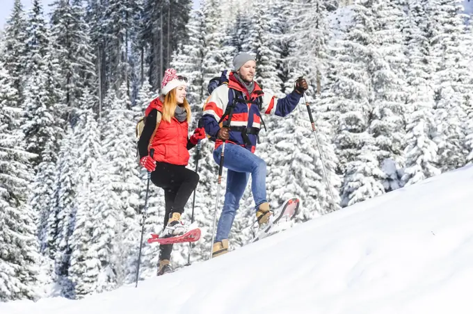 Couple in warm clothing snowshoeing by pine trees during winter