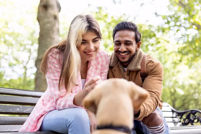 Happy young couple looking at dog in public park