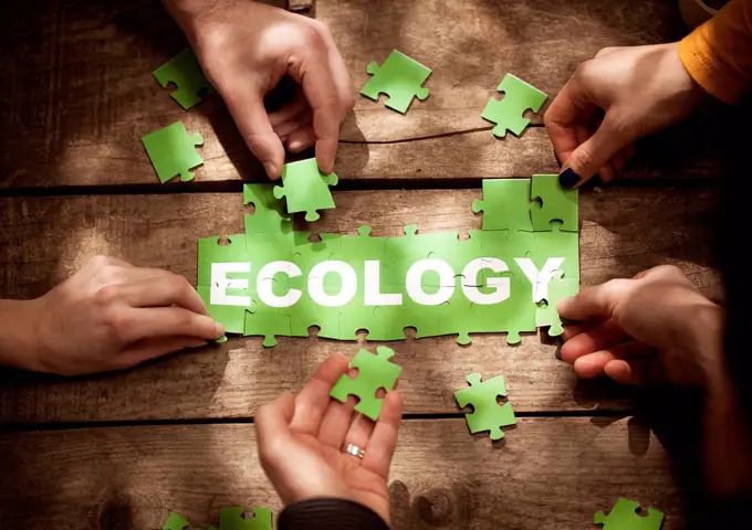 Friends joining Ecology word with jigsaw pieces on table
