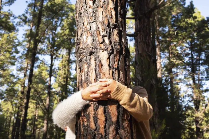 Senior couple holding hands by tree trunk in forest