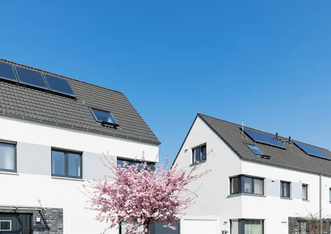 Germany, North Rhine-Westphalia, Cologne, Cherry blossom blooming in front of modern suburban houses