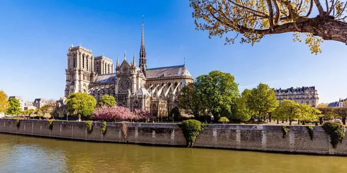France, Paris, Notre Dame Cathedral at cherry blossom