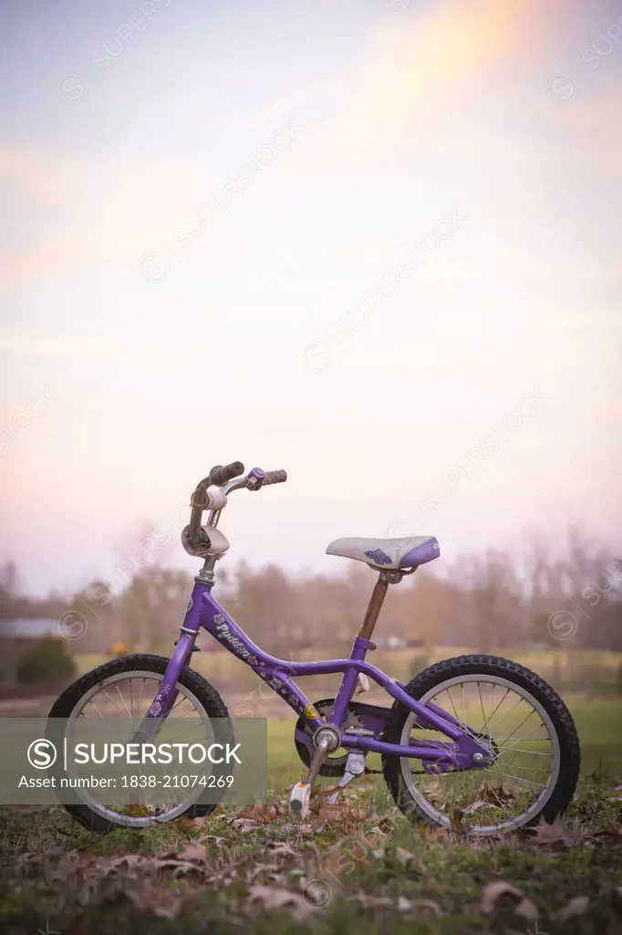 Child's Purple Bicycle on Grass