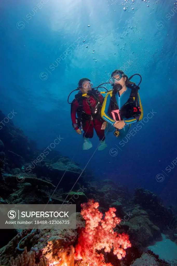Two divers on a reef hook in open water, Palau