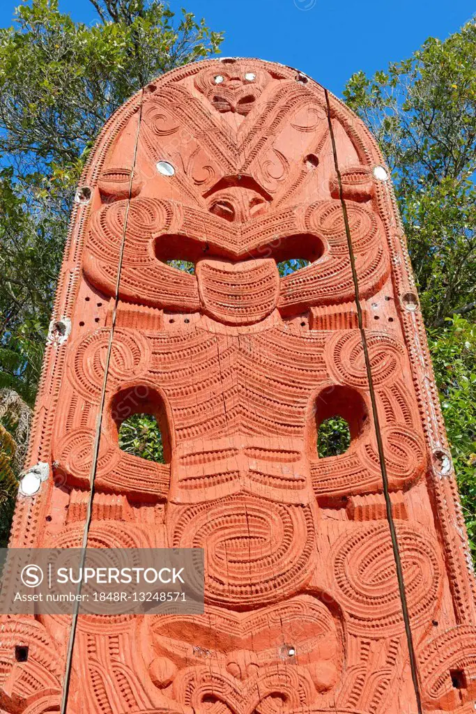 Maori Carving, living Maori cultural centre Te Puia, Rotorua, Whakarewarewa Valley, New Zealand