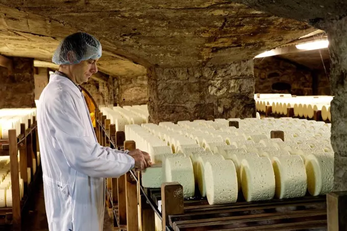 Master cheese maker with rows of cheese stored in the maturing cellars of the Roquefort Societe, Roquefort-sur-Soulzon, Aveyron, France, Europe, RESTR...