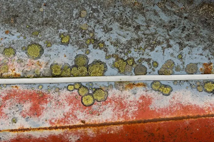 Rust and lichen on car body, Kyrkö Mosse junkyard, Ryd, Tingsryd, Kronoberg County, Sweden