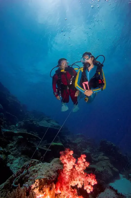 Two divers on a reef hook in open water, Palau