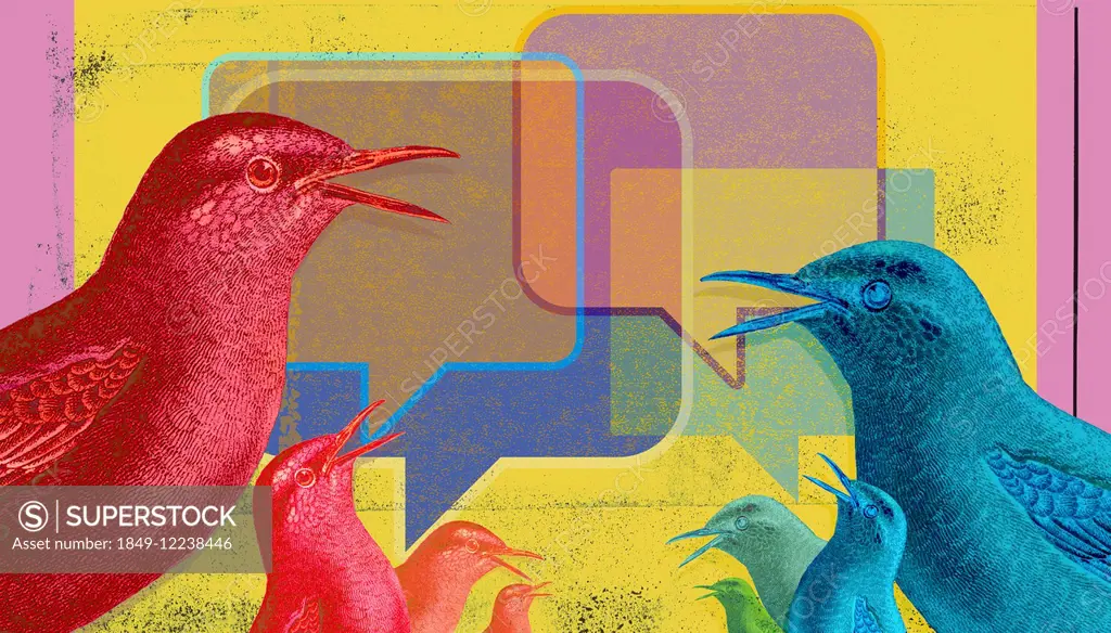 Birds communicating with online messaging