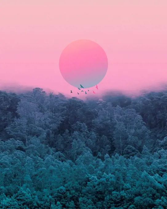 Pink sun in mist above forest