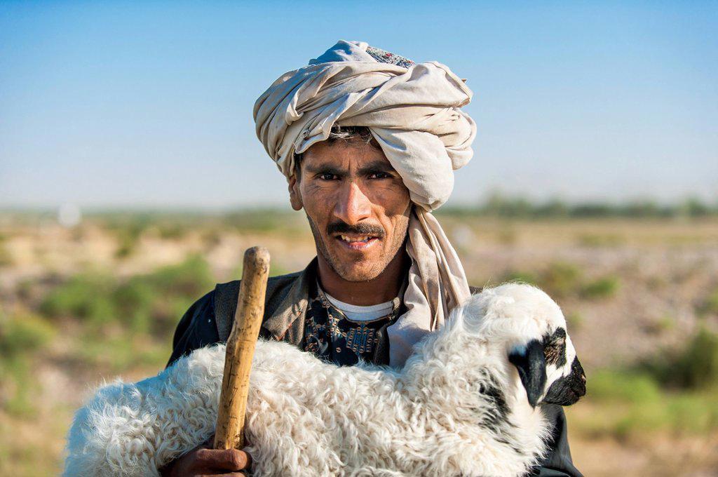 A Kuchi shepherd near Herat in Afghanistan returns a lost lamb back to its flock, Afghanistan, Asia
