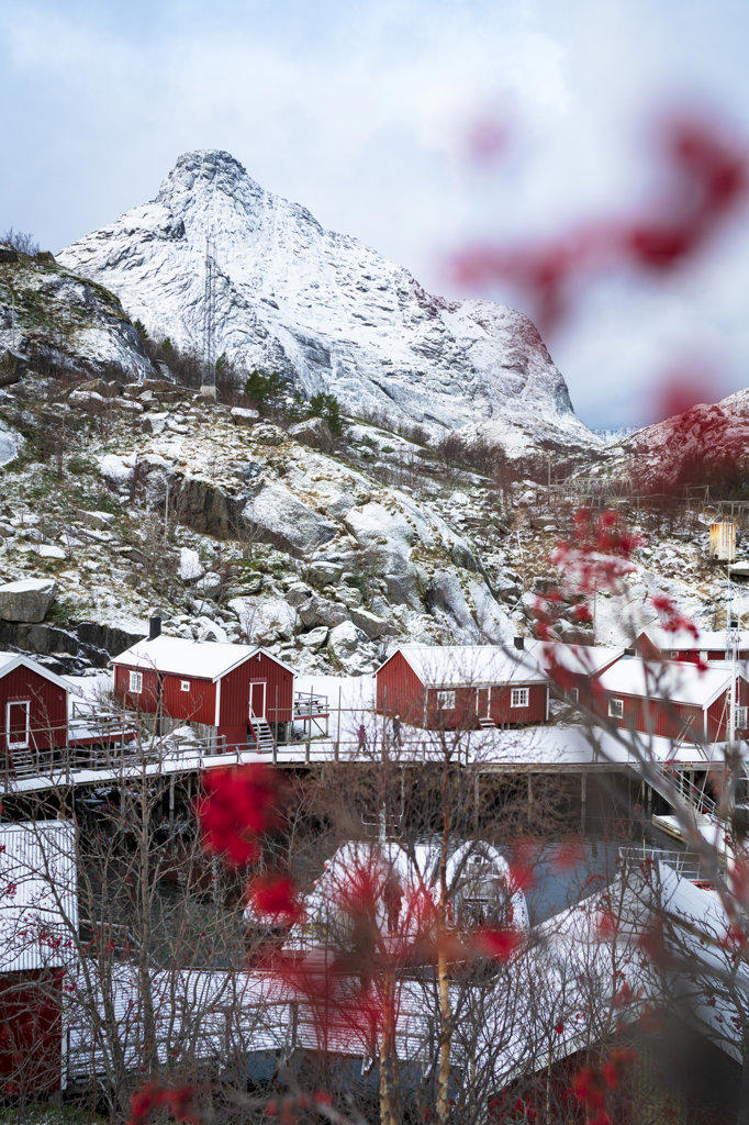 Red Rorbu cabins framed by snowcapped mountains in winter, Nusfjord, Nordland county, Lofoten Islands, Norway