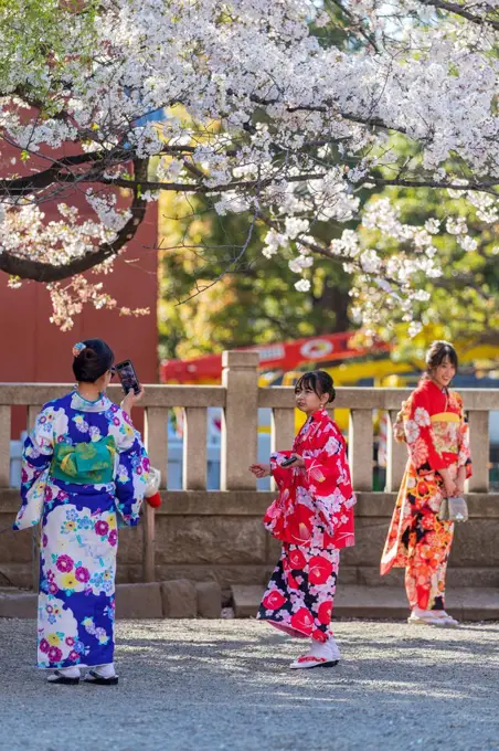 Women in kimonos, Sensoji Temple, Asakusa, Tokyo, Japan, Asia