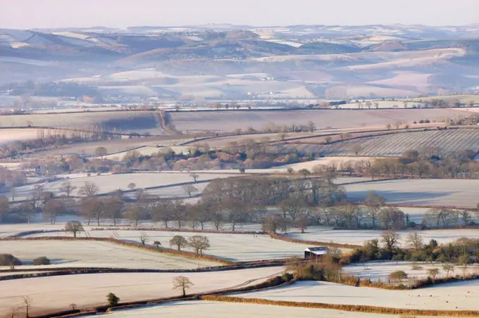 Frost covered winter countryside near Crediton, Devon, England, United Kingdom, Europe