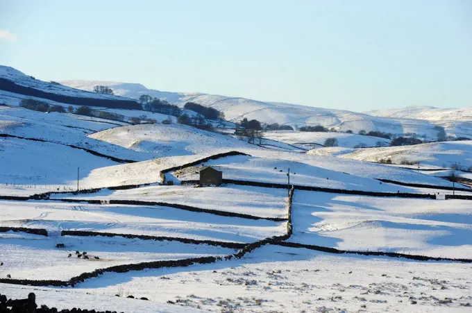 Winter view of snow covered fields, Wensleydale, Yorkshire Dales National Park, North Yorkshire, England, United Kingdom, Europe